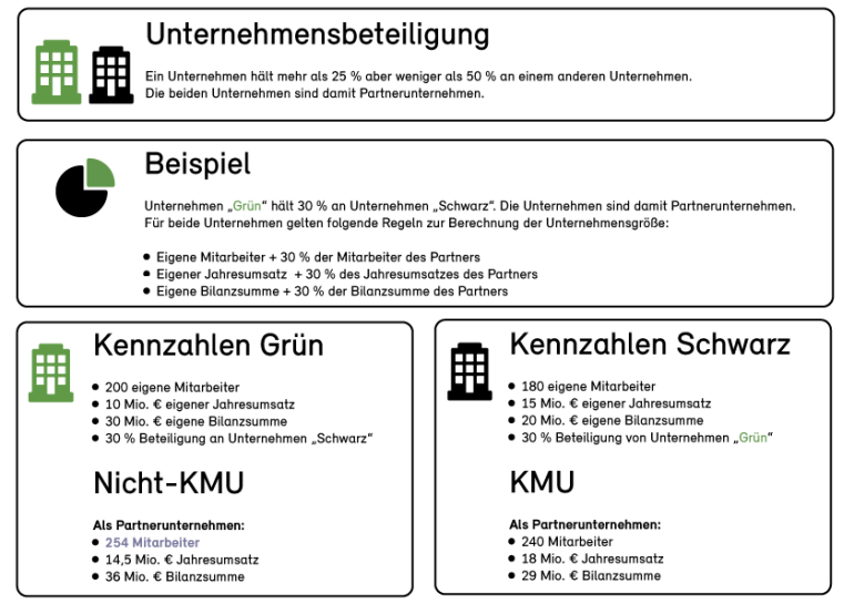 Darstellung Auditpflicht Darstellung Auditpflicht für Nicht-KMU Energieaudit EDL-G