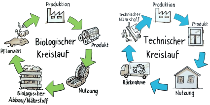 Grafik Biologischer und Technischer Kreislauf Cradle to Cradle OmniCert